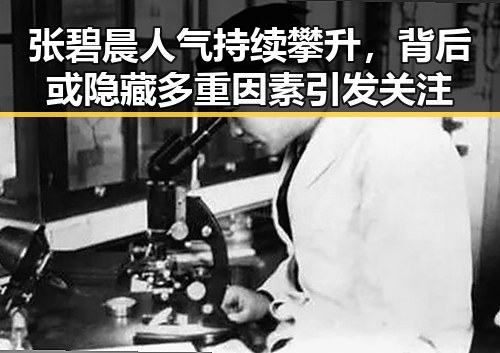 张碧晨人气持续攀升，背后或隐藏多重因素引发关注