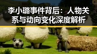 李小璐事件背后：人物关系与动向变化深度解析